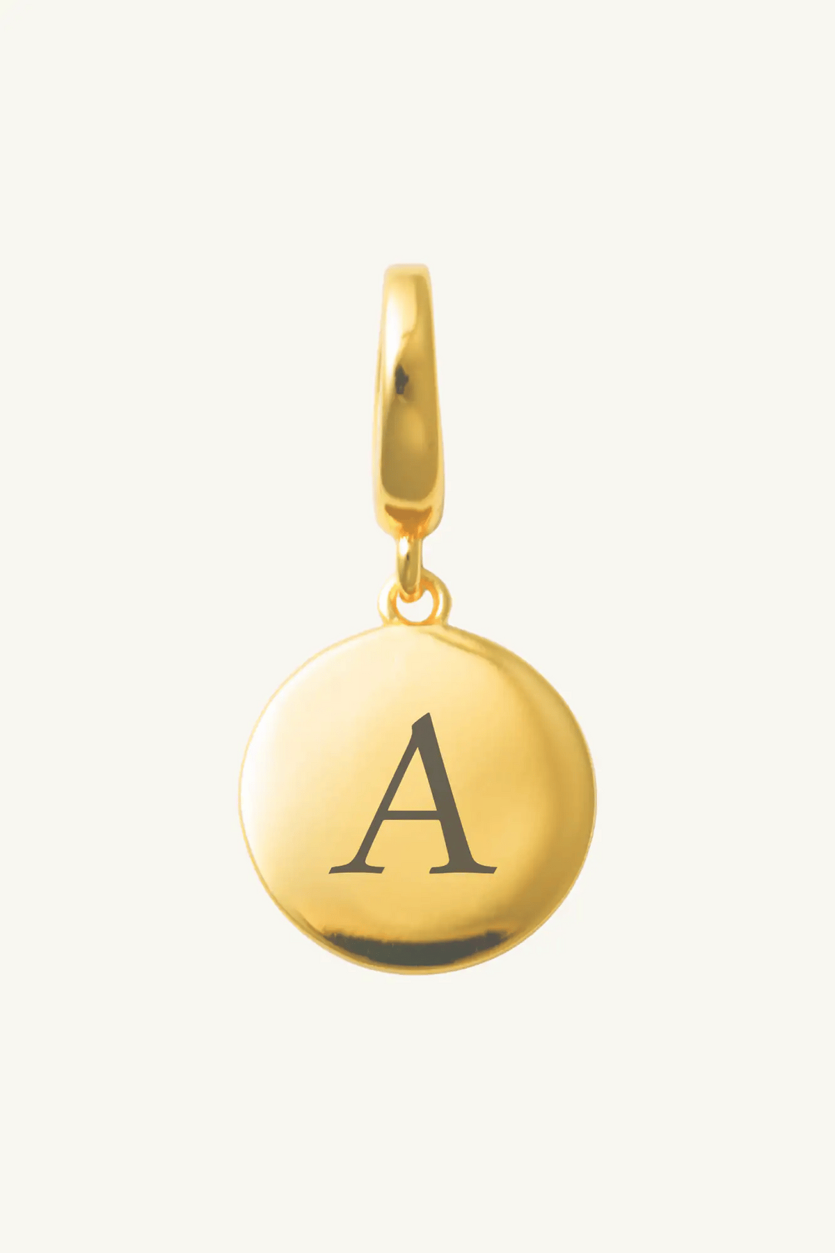Coin Clip Charm